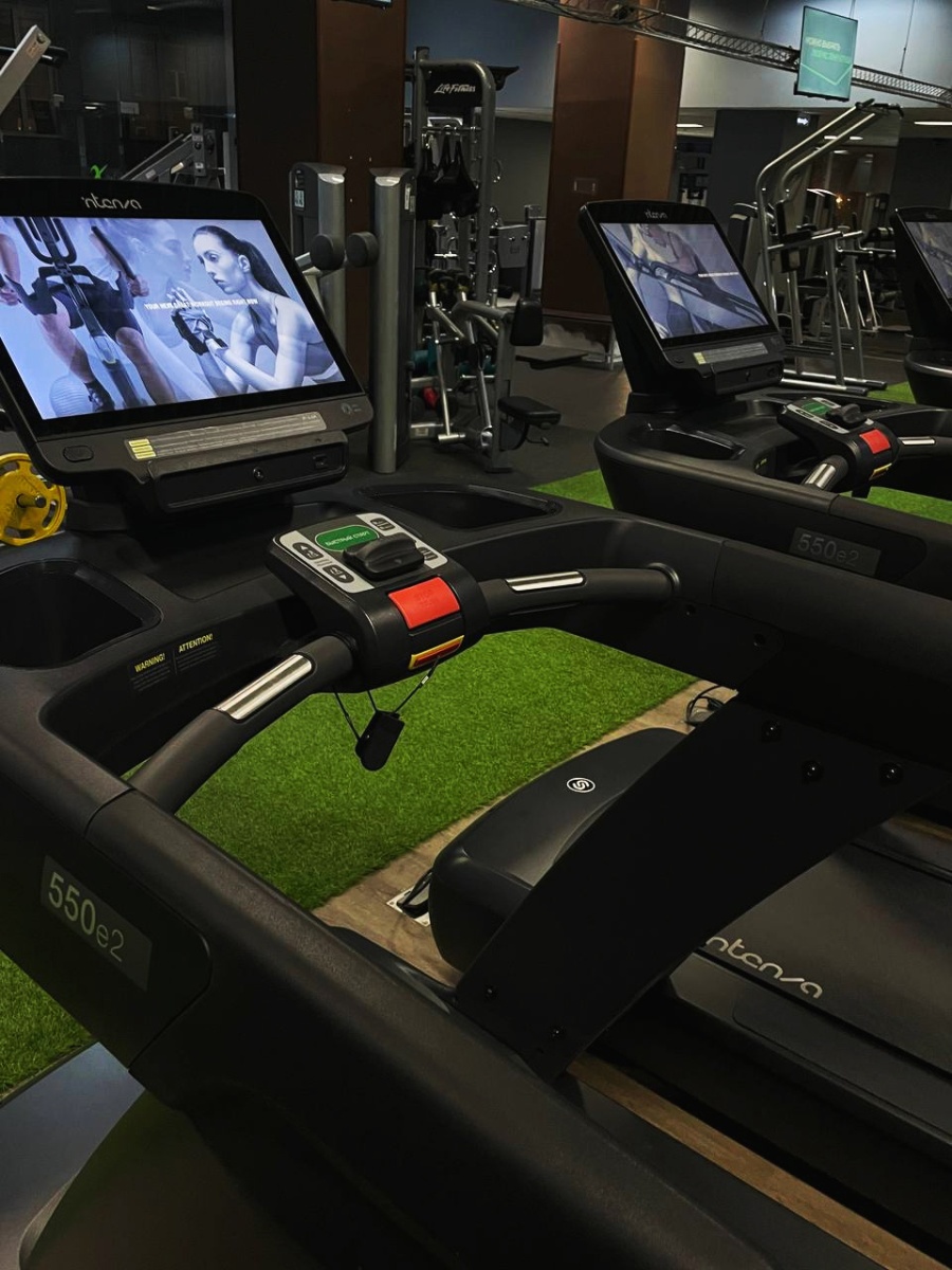 Беговые дорожки 550 Te2