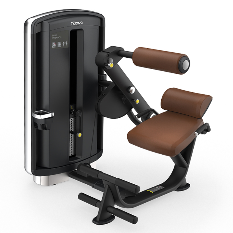 DL05-Back Extension-1.jpg