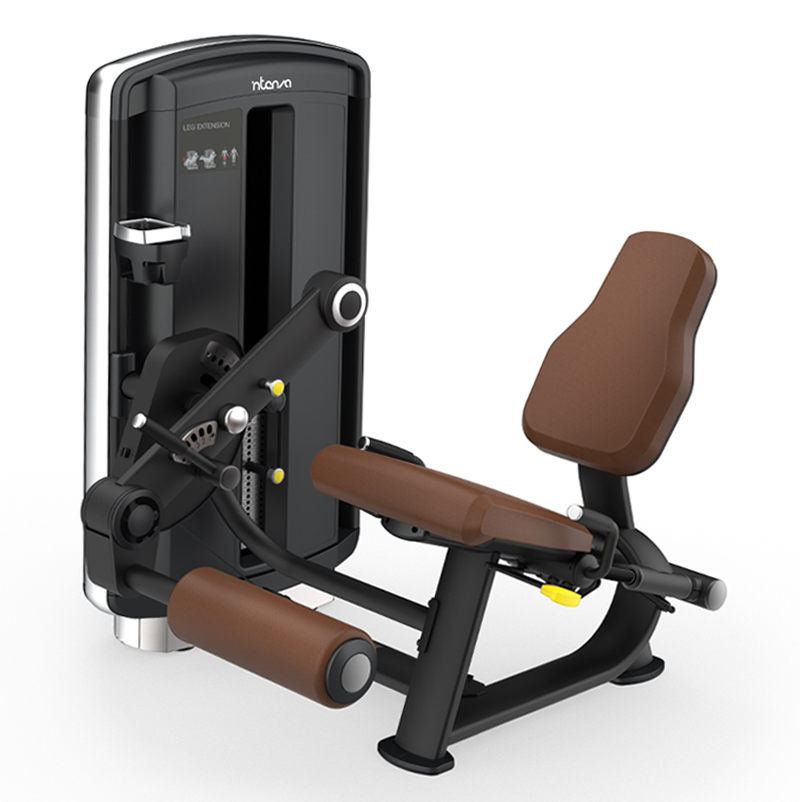 DL09-Leg Extension-1.jpg