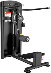 Мышцы бедра