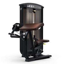 Бицепс (сгибание рук)